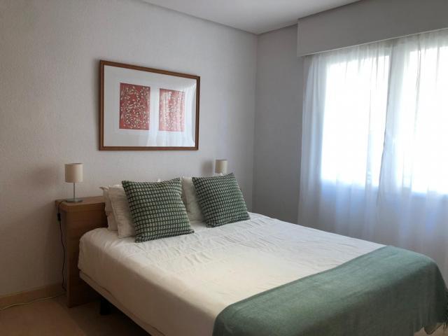 Apartamentos 1 Dormitorio Madrid Madrid ELS65827339