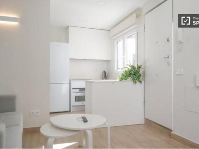 Apartamentos 1 Dormitorio Madrid Madrid ELS77535565