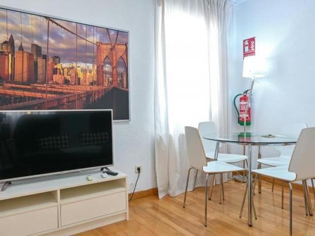 Apartamentos 1 Dormitorio Madrid Madrid ELS87631952
