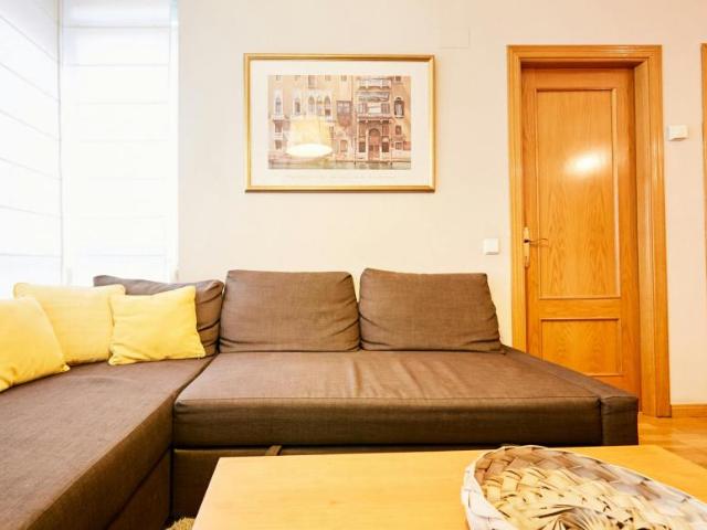 Apartamentos 1 Dormitorio Madrid Madrid ELS91165152