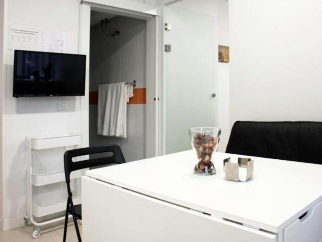 Apartamentos 1 Dormitorio Madrid Madrid ELS94693873