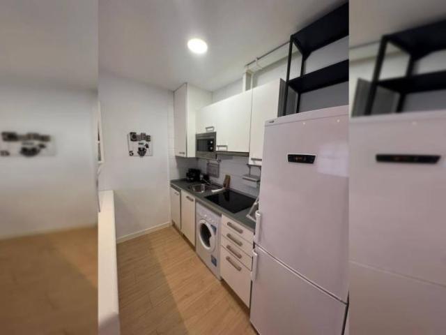 Apartamentos 1 Dormitorio Madrid Madrid ELS94863779