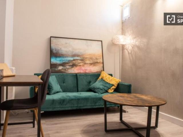 Apartamentos 1 Dormitorio Madrid Madrid ELS94120129