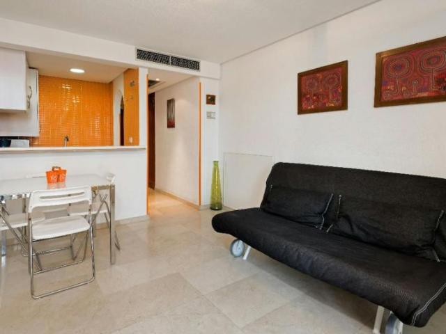 Apartamentos 1 Dormitorio Madrid Madrid ELS94323779