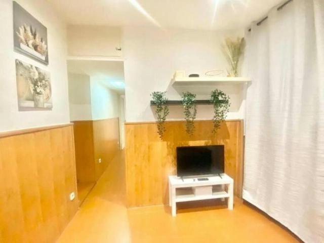 Apartamentos 1 Dormitorio Madrid Madrid ELS94323864