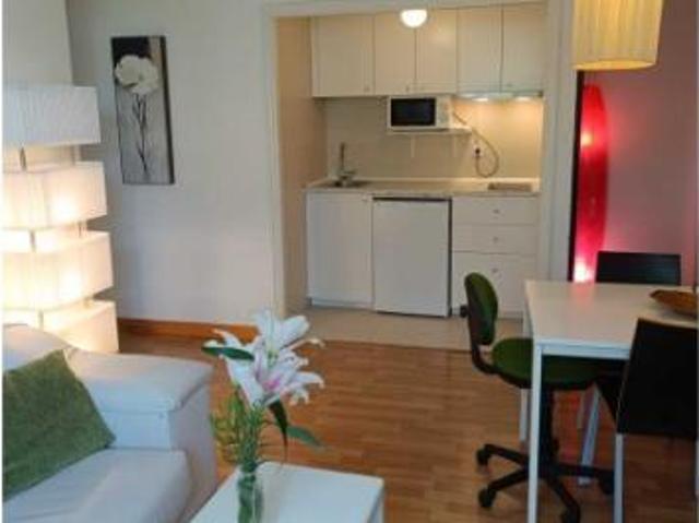 Apartamentos 1 Dormitorio Madrid Madrid ELS95002704