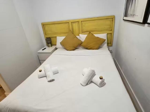 Apartamentos 1 Dormitorio Madrid Madrid ELS96497337