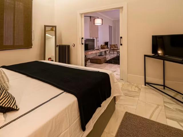 Apartamentos 1 Dormitorio Madrid Madrid ELS96497396