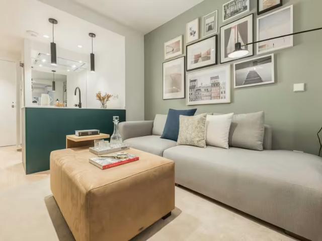 Apartamentos 1 Dormitorio Madrid Madrid ELS96591698