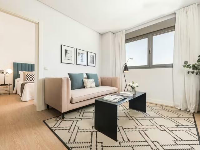 Apartamentos 1 Dormitorio Madrid Madrid ELS96591910