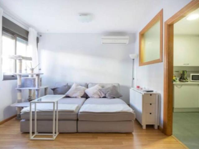 Apartamentos 1 Dormitorio Madrid Madrid ELS96307941