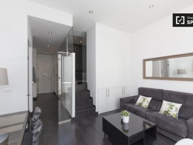 Apartamentos 1 Dormitorio Madrid Madrid ELS97132748