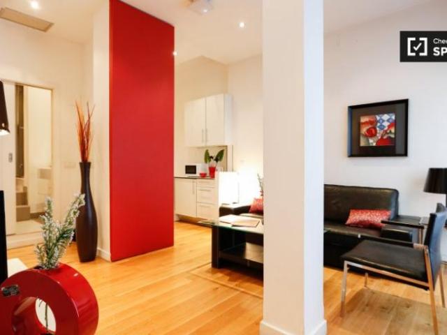 Apartamentos 1 Dormitorio Madrid Madrid ELS97132749