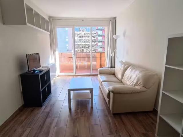 Apartamentos 1 Dormitorio Madrid Madrid ELS97141371
