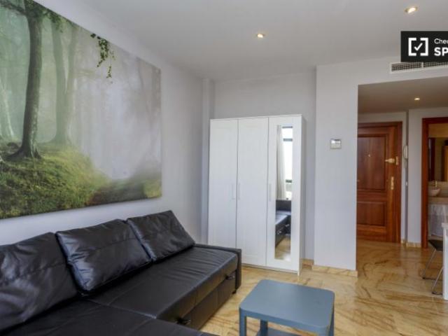 Apartamentos 1 Dormitorio Madrid Madrid ELS97236372