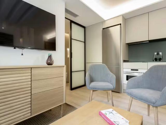 Apartamentos 1 Dormitorio Madrid Madrid ELS98401101