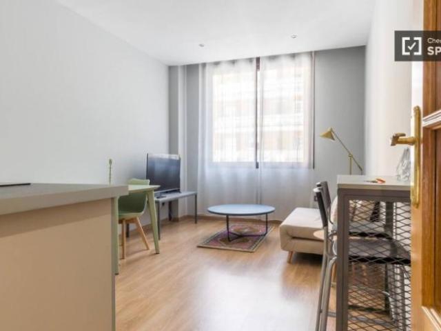 Apartamentos 1 Dormitorio Madrid Madrid ELS98498282