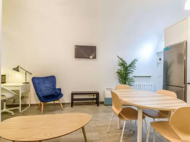 Apartamentos 1 Dormitorio Madrid Madrid ELS98022810