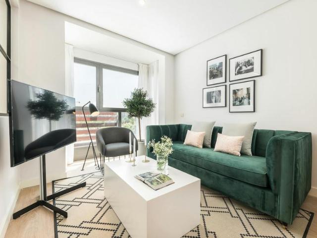 Apartamentos 1 Dormitorio Madrid Madrid ELS99467450