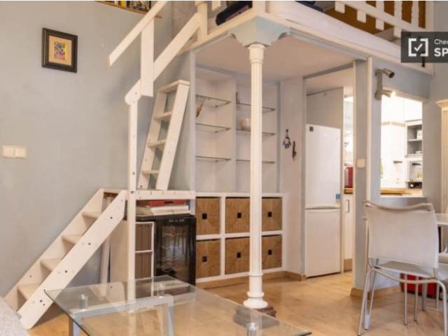 Apartamentos 1 Dormitorio Madrid Madrid ELS99510252