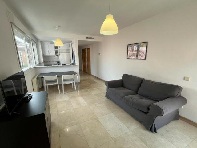 Apartamentos 1 Dormitorio Madrid Madrid ELS99562260