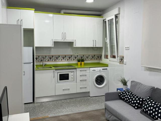 Apartamentos 1 Dormitorio Madrid Madrid ELS99693088