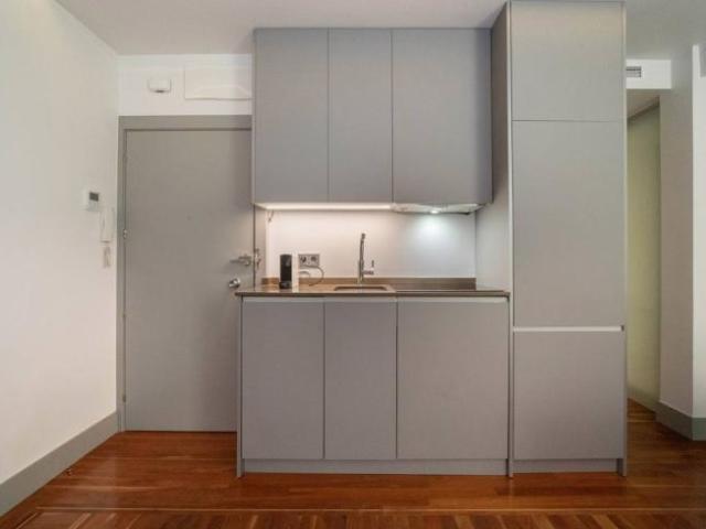 Apartamentos 1 Dormitorio Madrid Madrid ELS99009897
