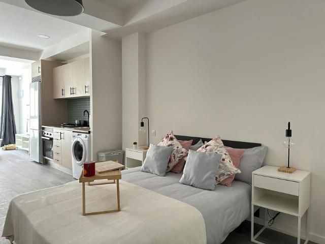 Apartamentos 1 Dormitorio Madrid Madrid ELS99267655