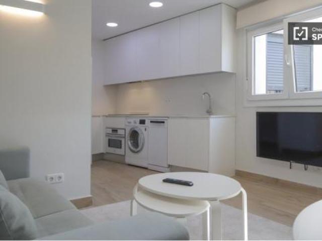 Apartamentos 1 Dormitorio Madrid Madrid ES77535563