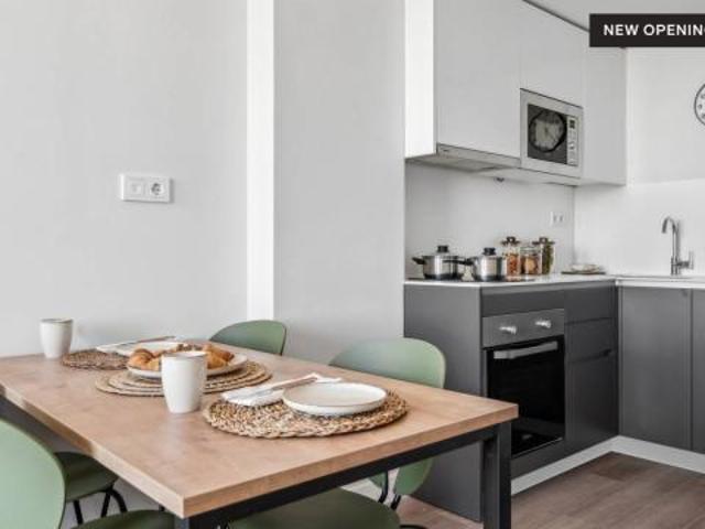 Apartamentos 1 Dormitorio Madrid Madrid ES80317996