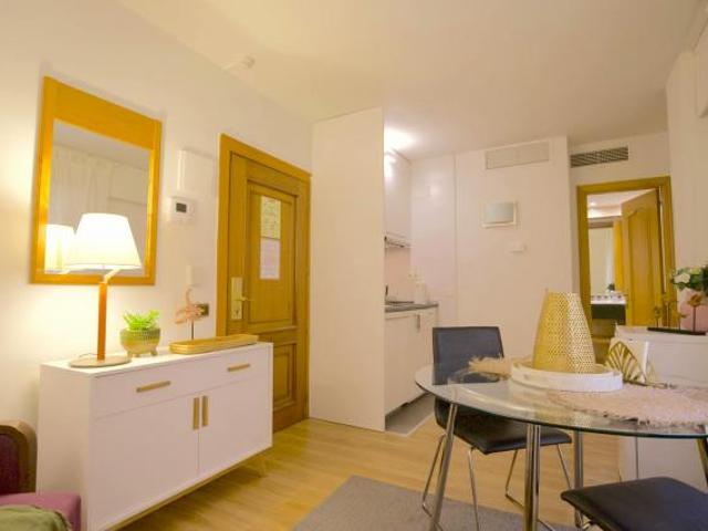 Apartamentos 1 Dormitorio Madrid Madrid ES85518126