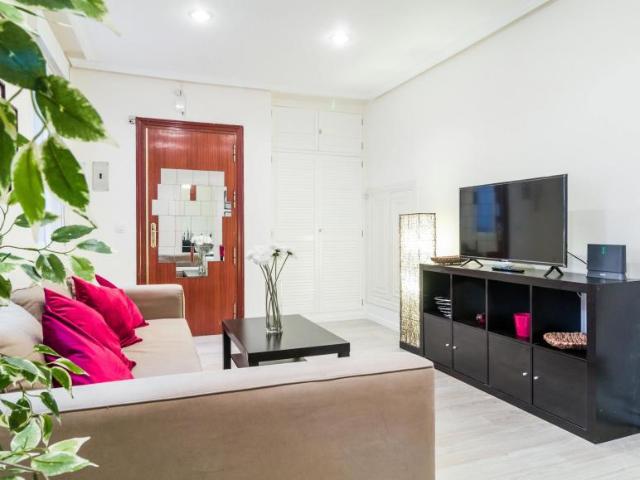 Apartamentos 1 Dormitorio Madrid Madrid ES89181897