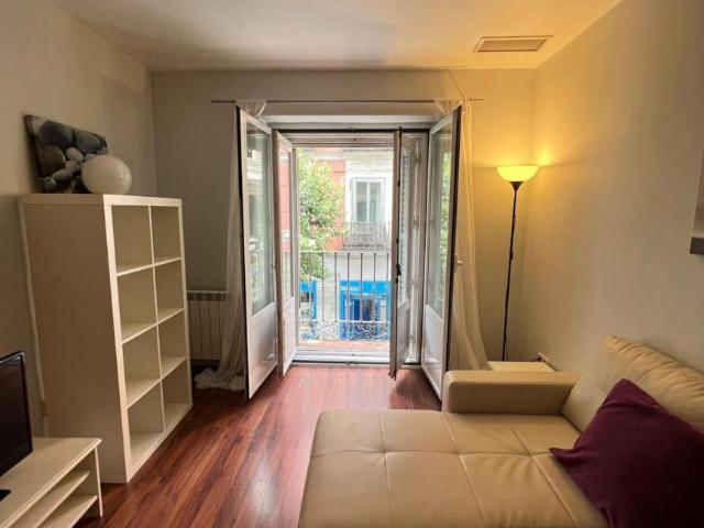 Apartamentos 1 Dormitorio Madrid Madrid ES89181925