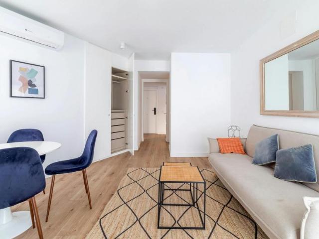 Apartamentos 1 Dormitorio Madrid Madrid ES90285137