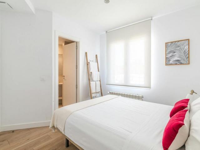 Apartamentos 1 Dormitorio Madrid Madrid ES90285138