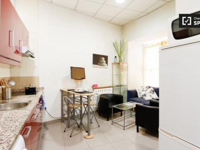 Apartamentos 1 Dormitorio Madrid Madrid ES90668625
