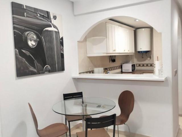 Apartamentos 1 Dormitorio Madrid Madrid ES90735333