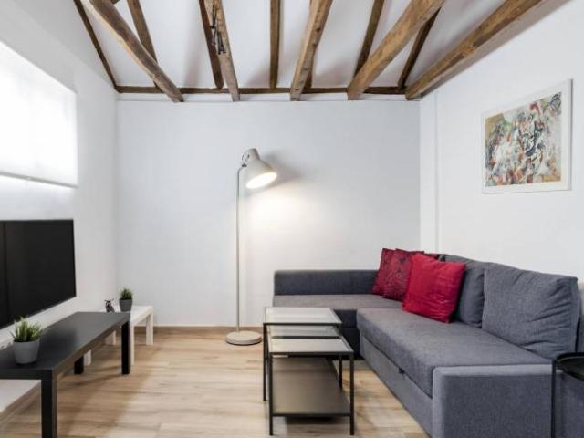 Apartamentos 1 Dormitorio Madrid Madrid ES91548255