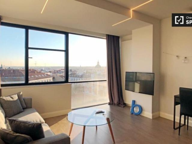 Apartamentos 1 Dormitorio Madrid Madrid ES93485848