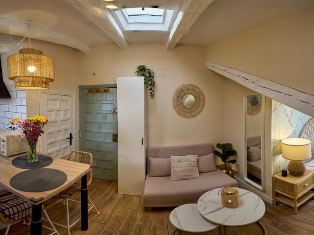 Apartamentos 1 Dormitorio Madrid Madrid ES93560162