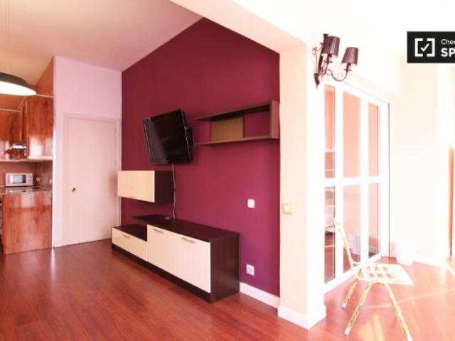 Apartamentos 1 Dormitorio Madrid Madrid ES95191688