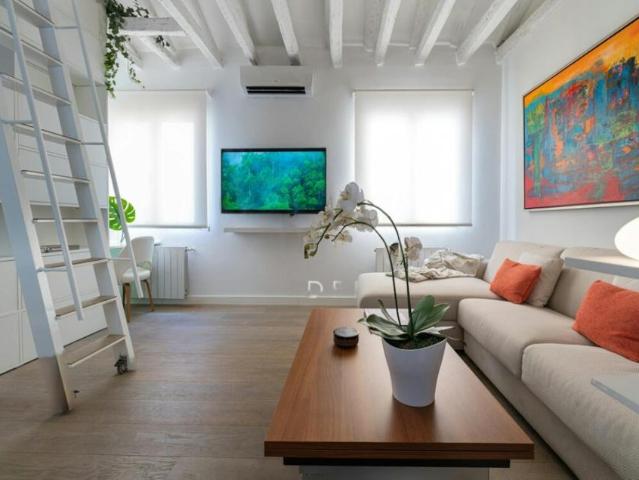 Apartamentos 1 Dormitorio Madrid Madrid ES95596947