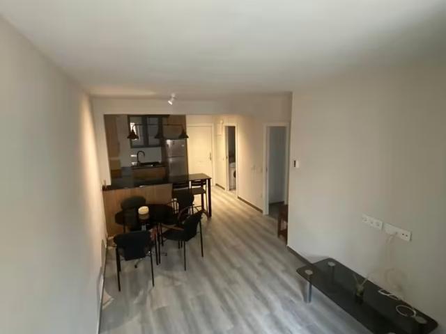 Apartamentos 1 Dormitorio Madrid Madrid ES95949326