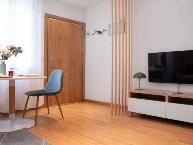 Apartamentos 1 Dormitorio Madrid Madrid ES96212042