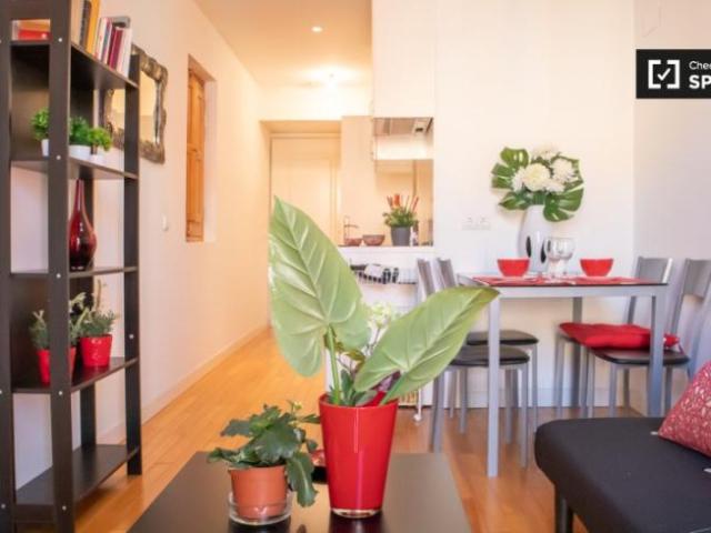Apartamentos 1 Dormitorio Madrid Madrid ES96498443