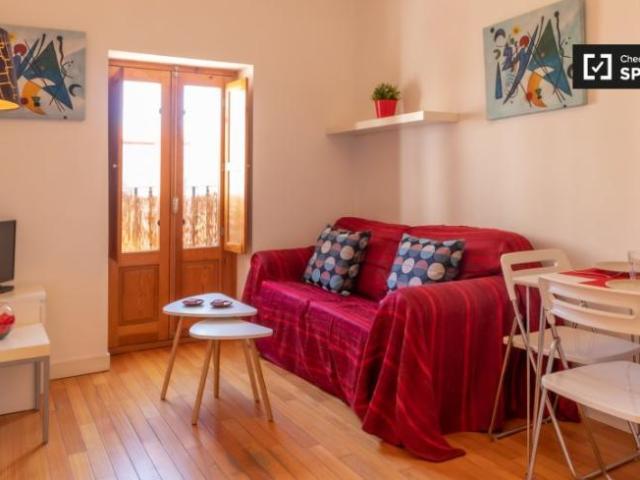 Apartamentos 1 Dormitorio Madrid Madrid ES96498786