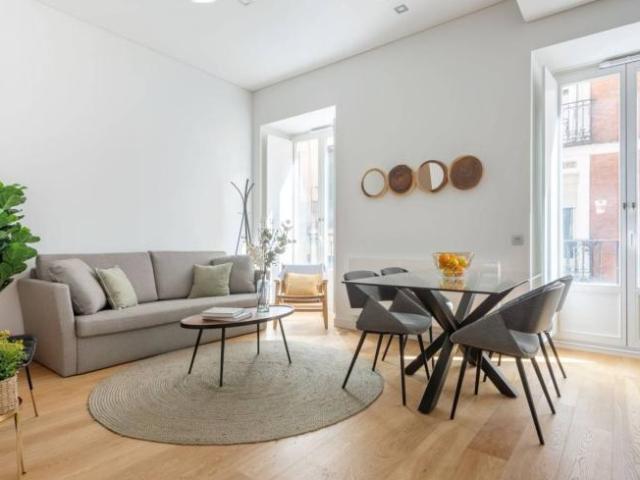 Apartamentos 1 Dormitorio Madrid Madrid ES96690546