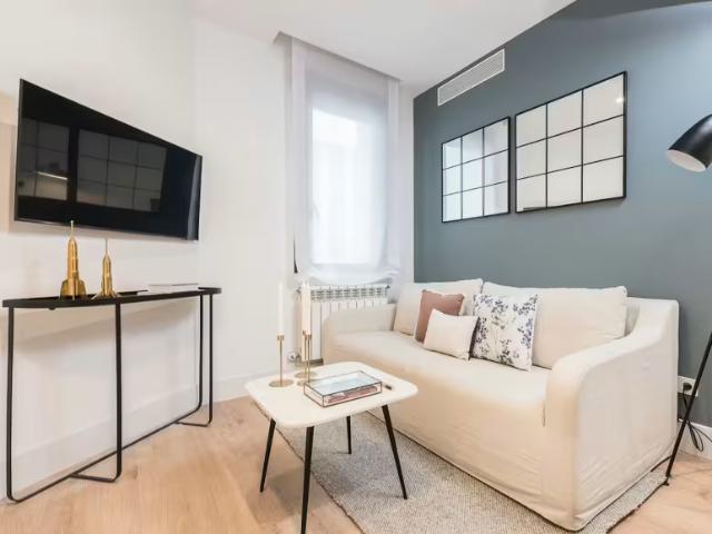 Apartamentos 1 Dormitorio Madrid Madrid ES96887623