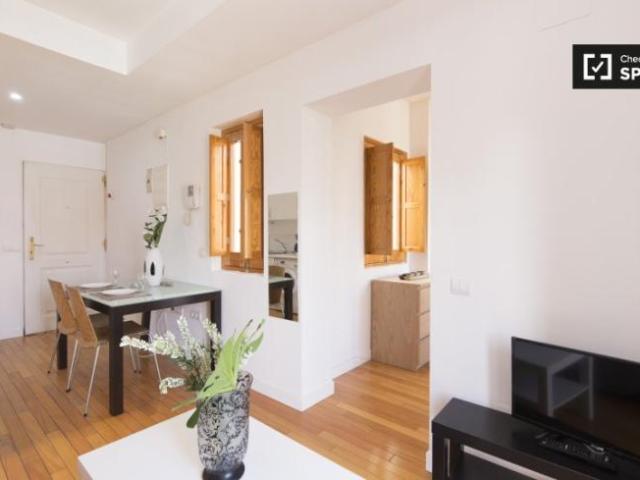 Apartamentos 1 Dormitorio Madrid Madrid ES97132779