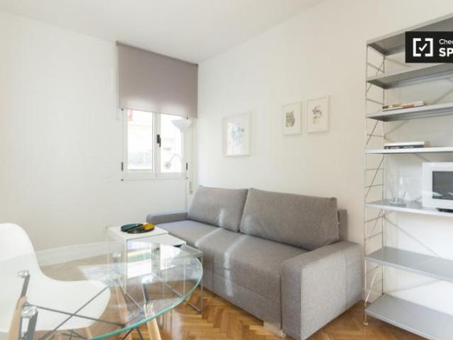 Apartamentos 1 Dormitorio Madrid Madrid ES97132842